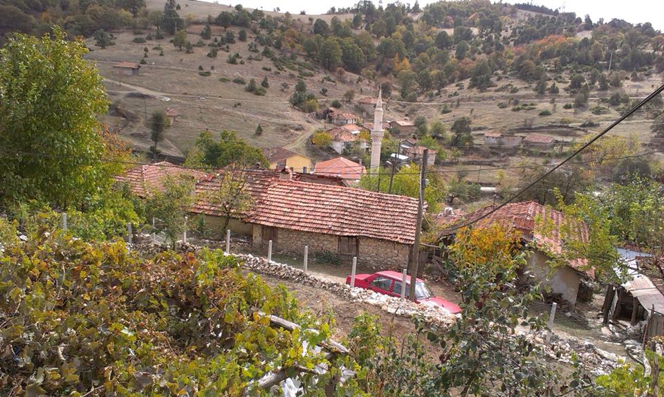 Dursunbey Karapınar Köyü Resimleri 1