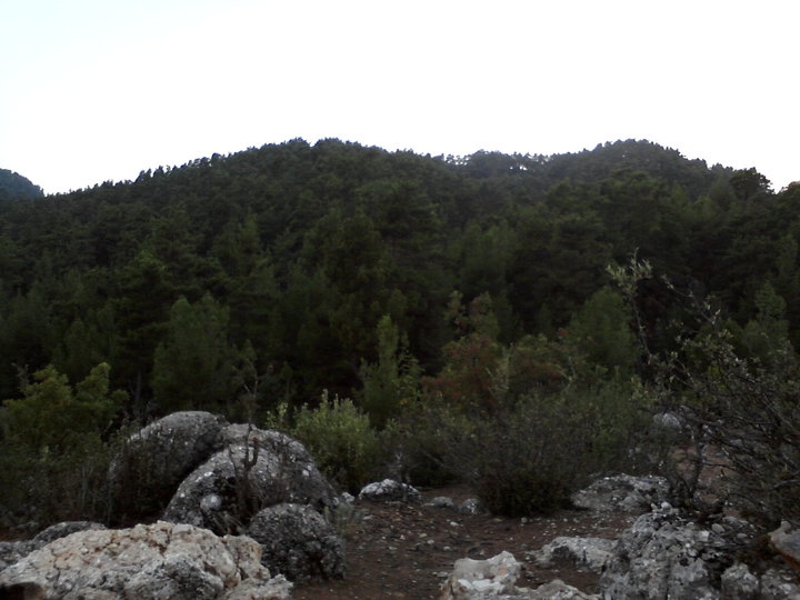 Antalya Manavgat Ballıbucak Köyü Resimleri 21