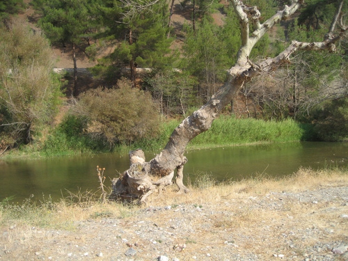 Dursunbey Kazımiye Köyü Resimleri 6