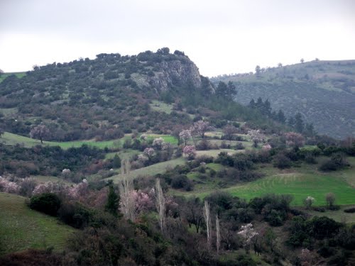 Dursunbey Kazımiye Köyü Resimleri 9