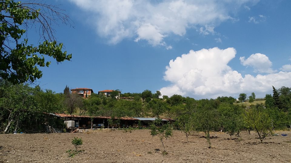 Dursunbey Kuzköy Köyü Resimleri 1