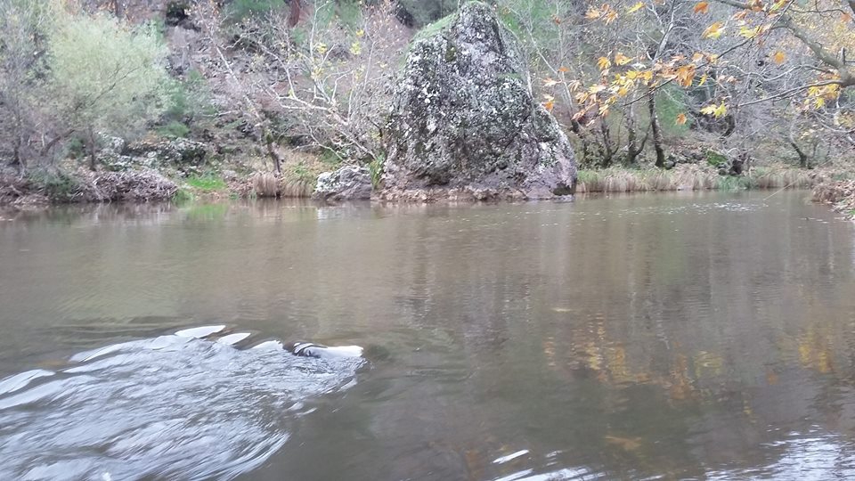 Dursunbey Küçükler Köyü Resimleri 10