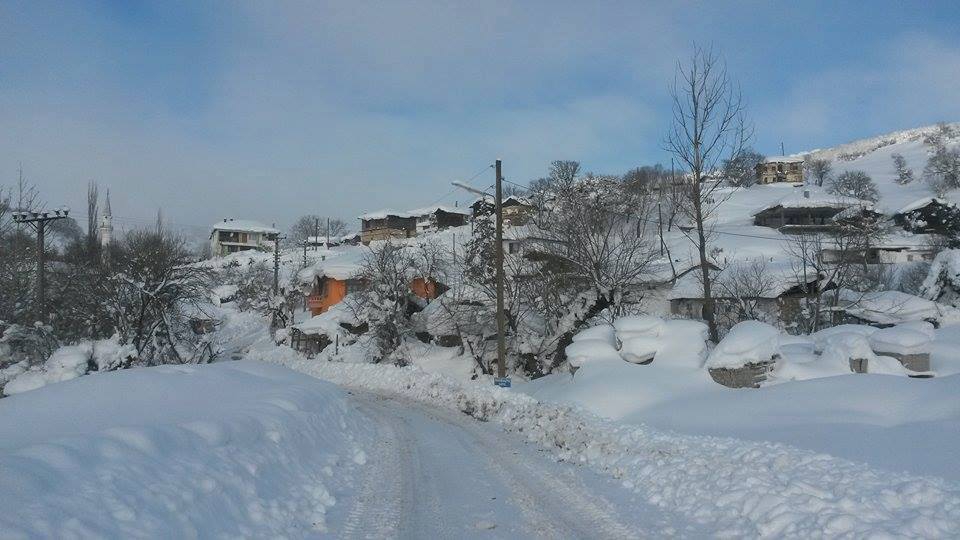 Dursunbey Mahmudiye Köyü Resimleri 1