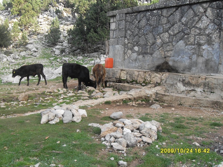 Antalya Manavgat Ballıbucak Köyü Resimleri 26