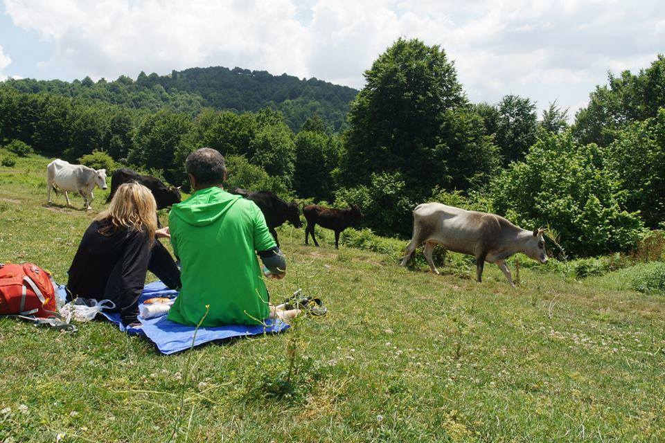 Yalova Güneyköy Resimleri 12