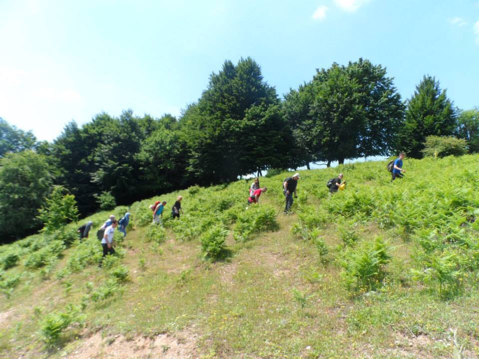 Yalova Güneyköy Resimleri 2