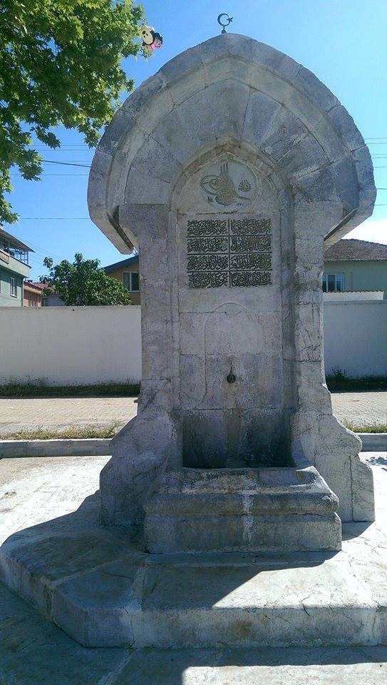 Yalova Güneyköy Resimleri 4