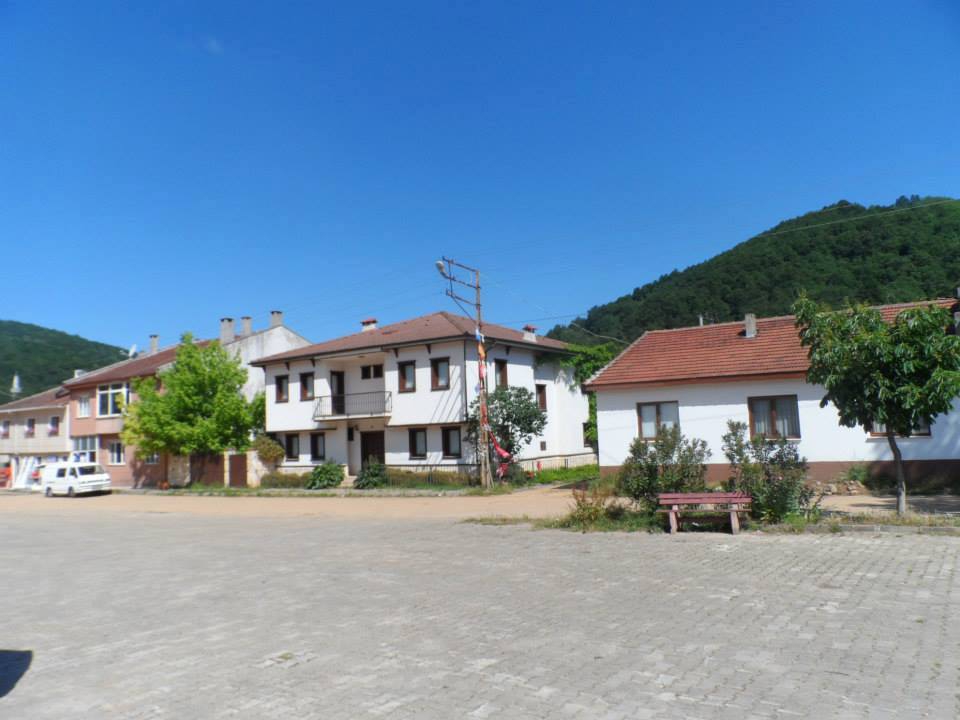 Yalova Güneyköy Resimleri 7