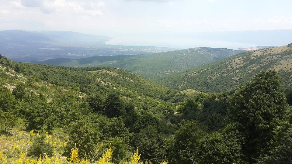 Yalova Güneyköy Resimleri 8