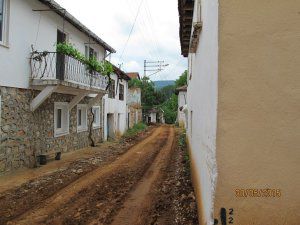 Yalova Güneyköy Resimleri