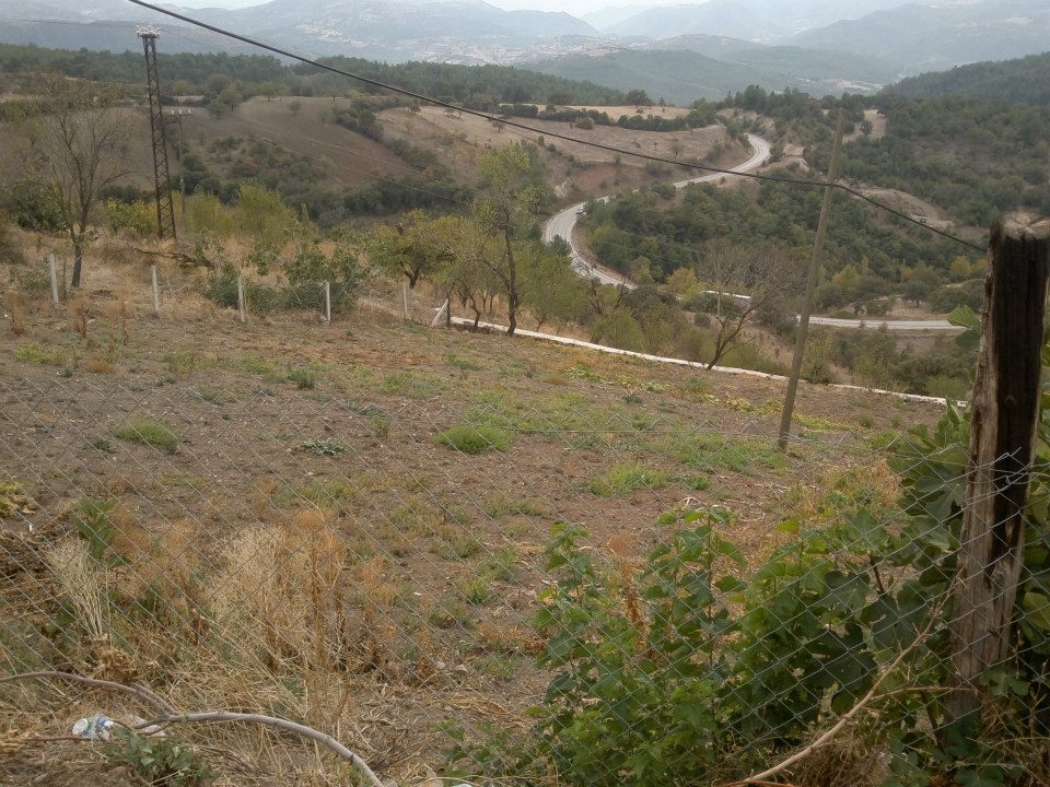 Dursunbey Naipler Köyü Resimleri 3