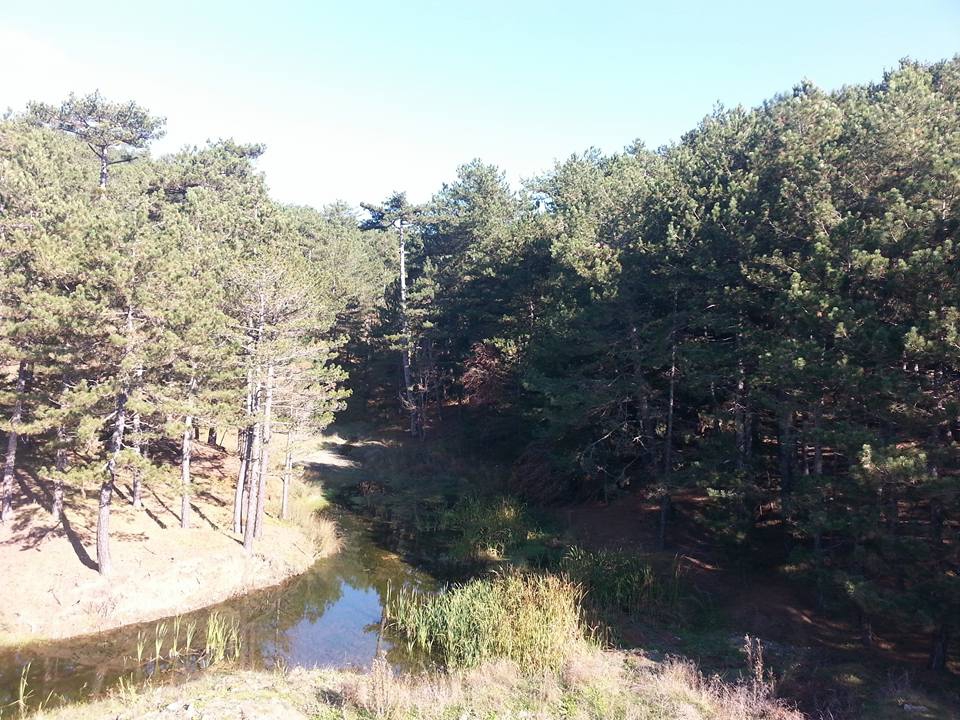 Dursunbey Odaköy Köyü Resimleri 9