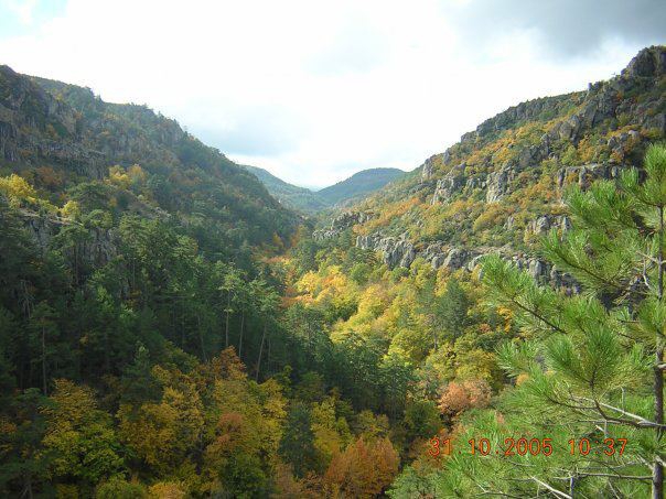 Dursunbey Osmaniye Köyü Resimleri 2