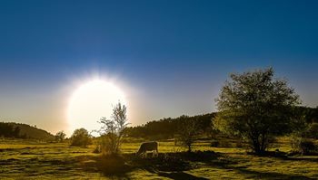 Dursunbey Osmaniye Köyü Resimleri 5