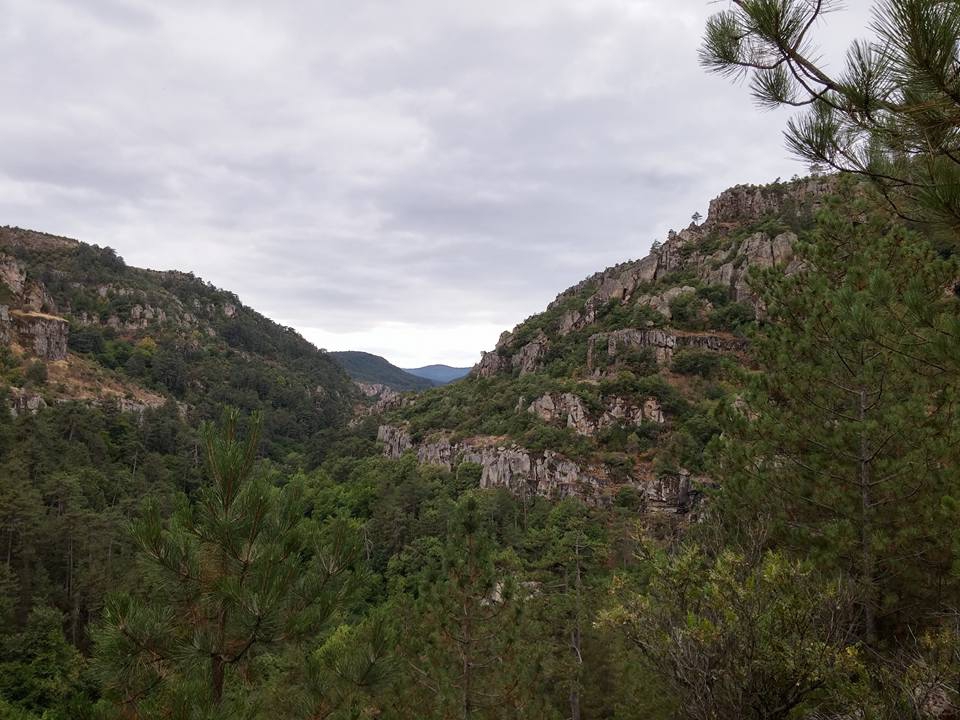Dursunbey Osmaniye Köyü Resimleri 9