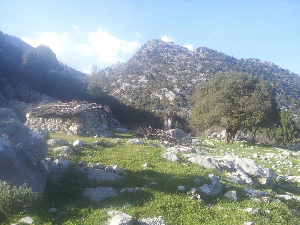 Antalya Manavgat Değirmenözü Köyü Resimleri 14
