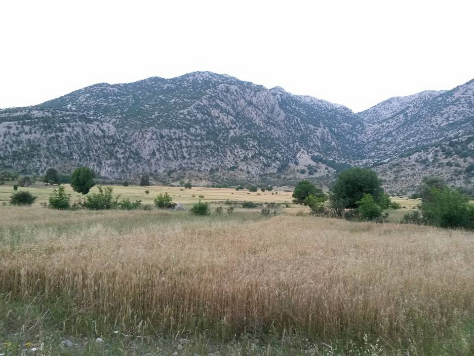 Antalya Manavgat Değirmenözü Köyü Resimleri 23