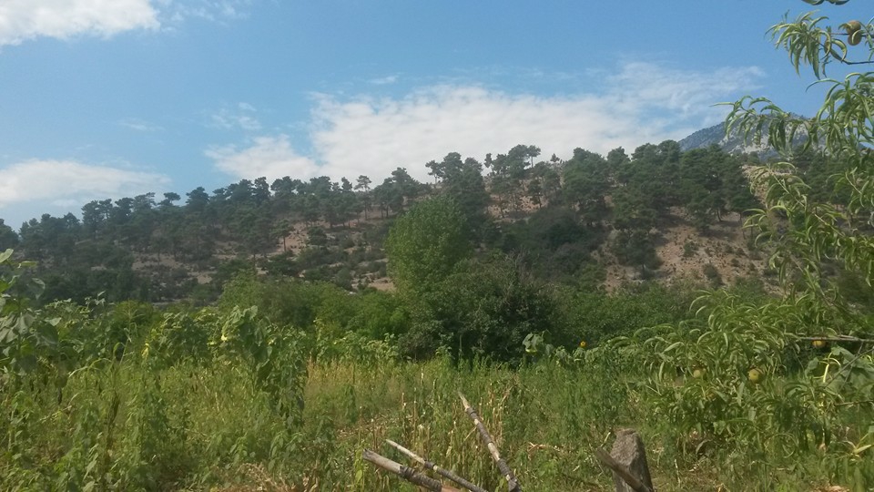 Antalya Manavgat Değirmenözü Köyü Resimleri 25
