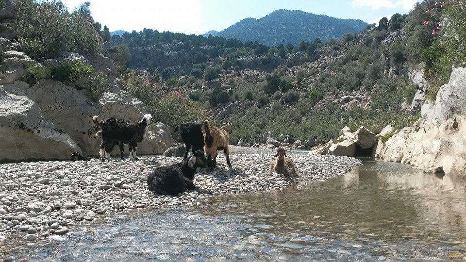 Antalya Manavgat Değirmenözü Köyü Resimleri 27
