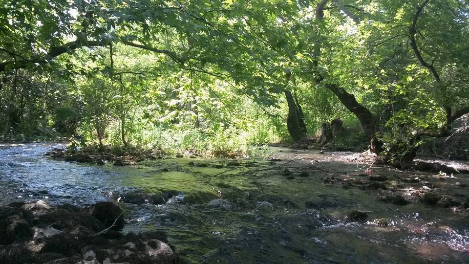 Antalya Manavgat Değirmenözü Köyü Resimleri 28