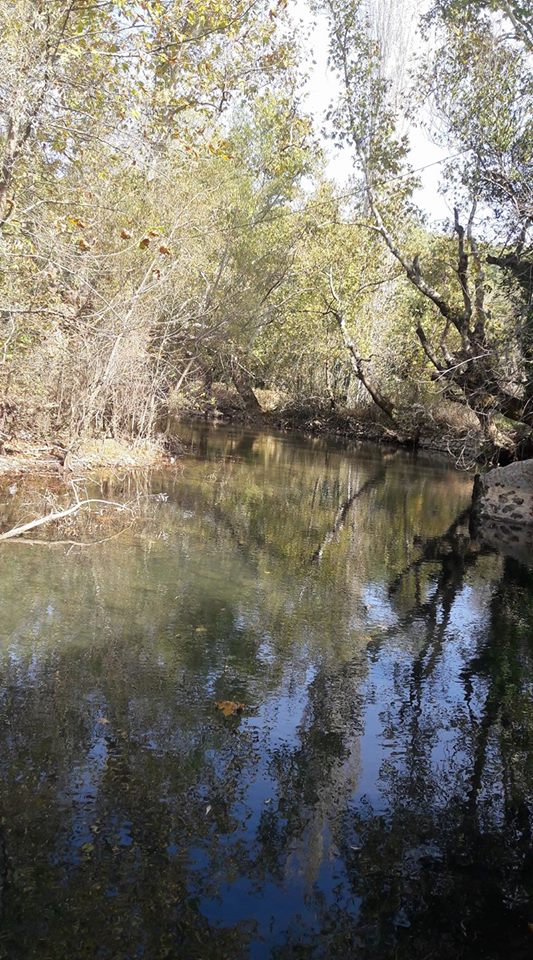 Antalya Manavgat Değirmenözü Köyü Resimleri 33