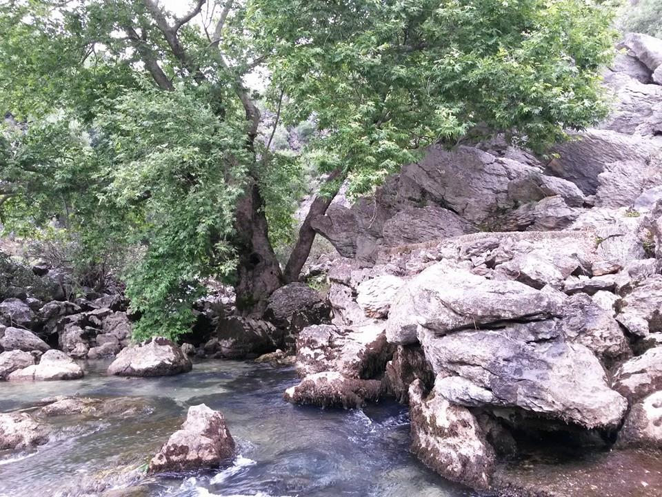 Antalya Manavgat Değirmenözü Köyü Resimleri 39
