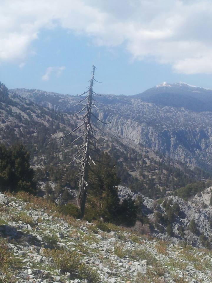 Antalya Manavgat Değirmenözü Köyü Resimleri 8