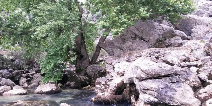 Antalya Manavgat Değirmenözü Köyü Resimleri