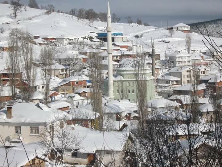 Dursunbey Süleler Köyü Resimleri 3