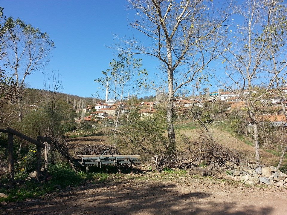 Dursunbey Süleler Köyü Resimleri 9