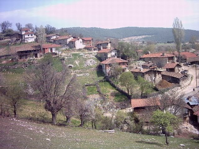 Dursunbey Turnacık Köyü Resimleri 8