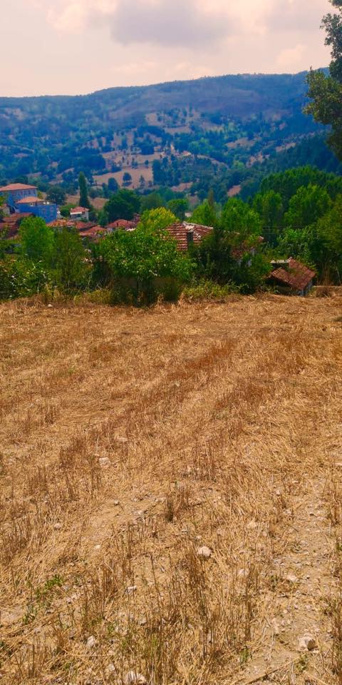 Dursunbey Veliler Köyü Resimleri 3