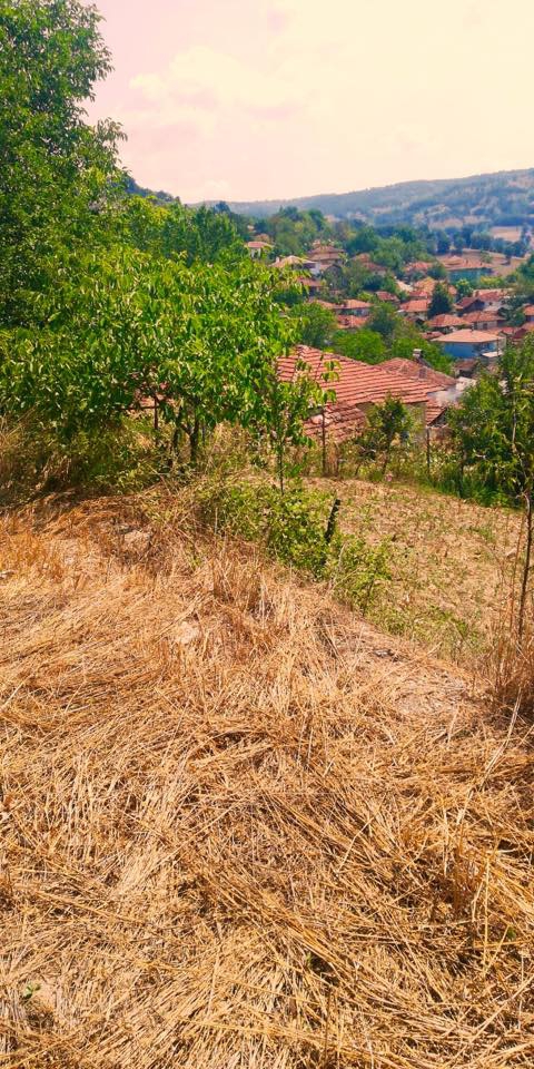 Dursunbey Veliler Köyü Resimleri 4