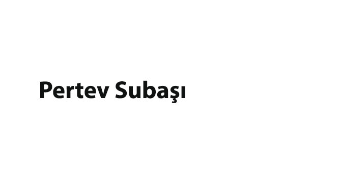 Trabzon Doğumlu Ünlüler 52