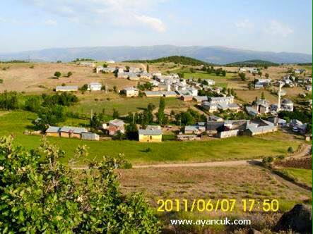 Şiran Koyunbaba Köyü Resimleri 1