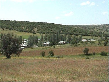 Şiran Koyunbaba Köyü Resimleri 2