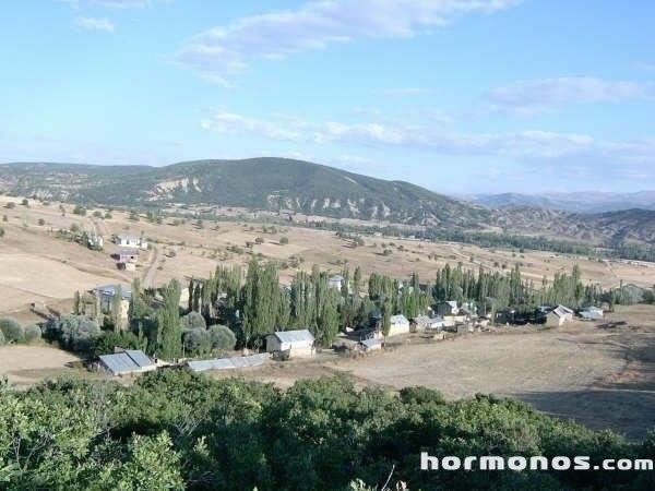 Şiran Koyunbaba Köyü Resimleri 3