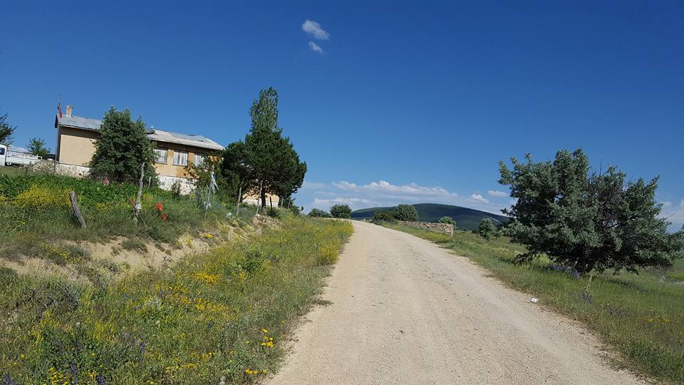 Şiran Koyunbaba Köyü Resimleri 4