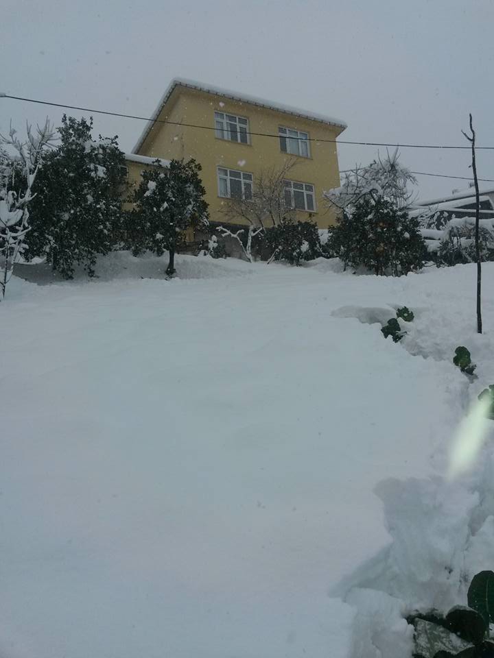 Akçaabat Akçakale Köyü Resimleri 1