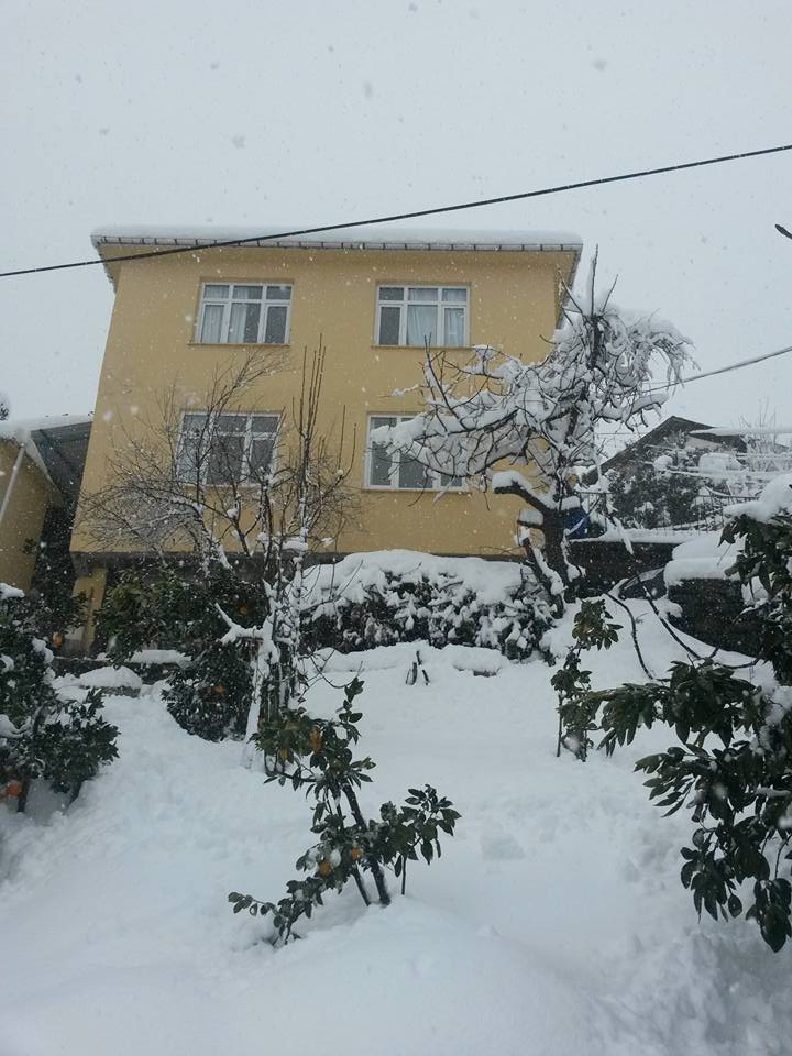 Akçaabat Akçakale Köyü Resimleri 12