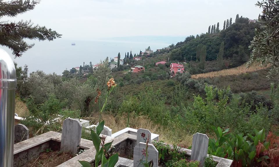 Akçaabat Akçakale Köyü Resimleri 16