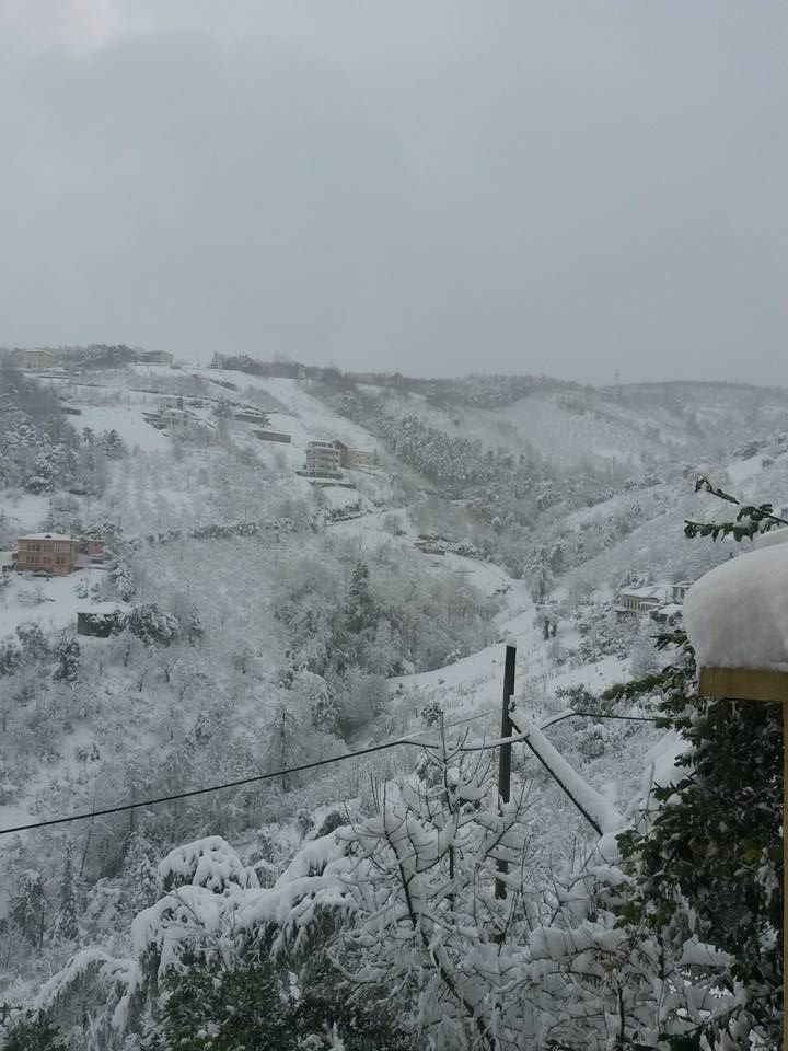Akçaabat Akçakale Köyü Resimleri 7