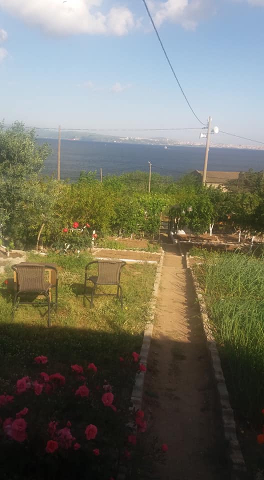 Erdek Aşağıyapıcı Köyü Resimleri 4