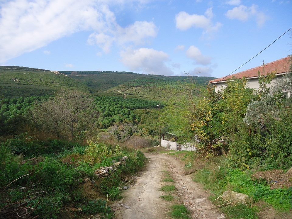 Erdek Aşağıyapıcı Köyü Resimleri 8