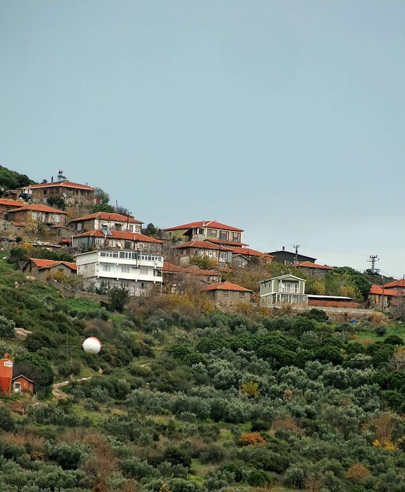 Erdek Belkıs Köyü Resimleri 1