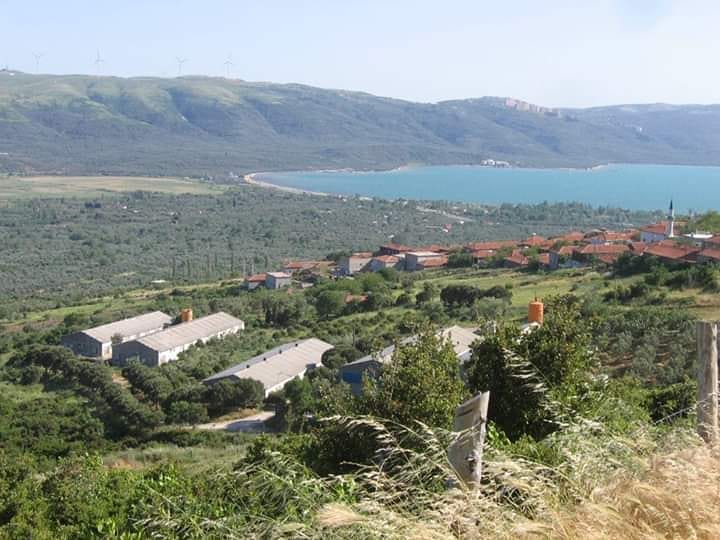 Erdek Belkıs Köyü Resimleri 2