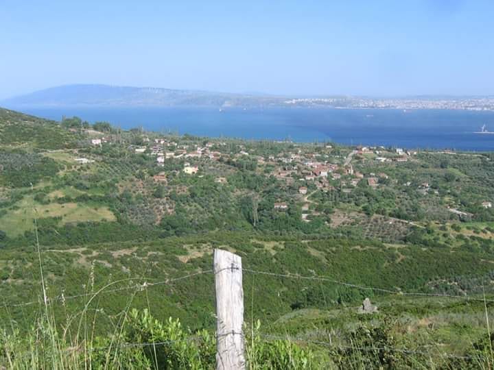 Erdek Hamamlı Köyü Resimleri 1