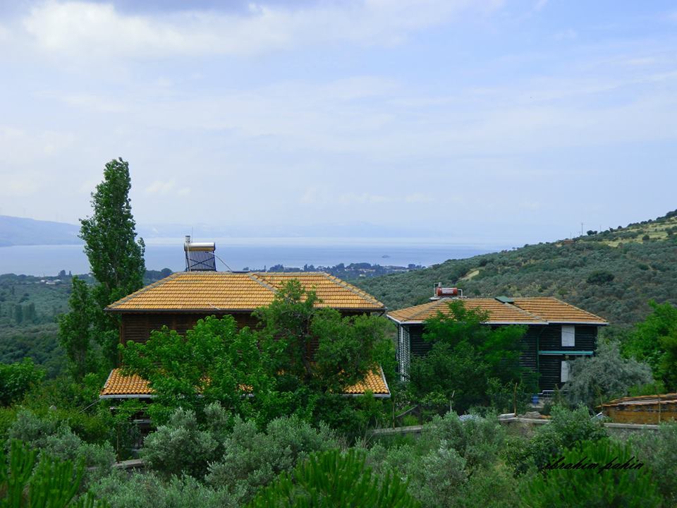 Erdek Hamamlı Köyü Resimleri 4