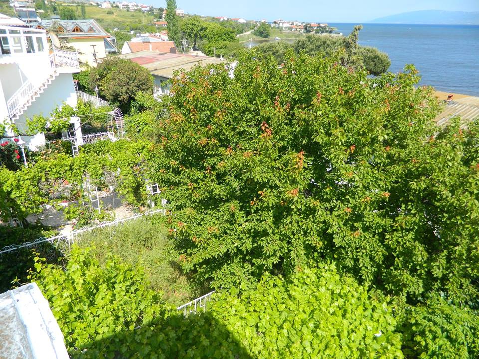 Erdek Hamamlı Köyü Resimleri 6