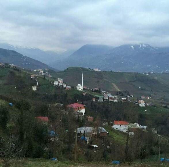 Akçaabat Akdamar Köyü Resimleri 1